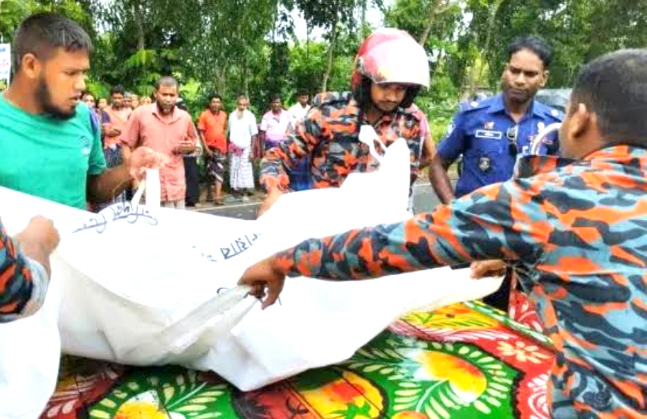 একই পরিবারের সড়ক দুর্ঘটনায় ৪ জনসহ ৭ জেলায় ১৫ জনের প্রাণ ঝরেছে।
