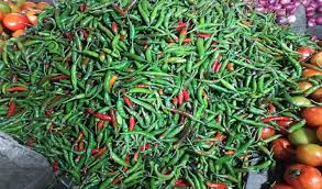 চাহিদার তুলনায় আমদানি বেশি হওয়ায় কাঁচা মরিচের দাম ২৫-৩০ টাকা কমেছে