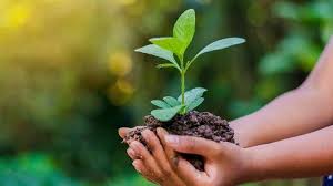 জলবায়ু পরিবর্তনের প্রভাব এড়াতে বৃক্ষরোপণ জরুরি-অর্থমন্ত্রী