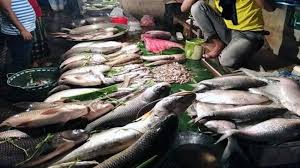 মিঠা পানির মাছ উৎপাদনে বিশ্বে দ্বিতীয় বাংলাদেশ