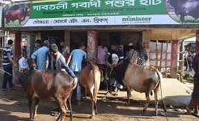 ঢাকার গাবতলী কোরবানির পশুর হাটে র‍্যাবের রক্ষামূলক ব্যবস্থা এবং সক্রিয় অংশগ্রহণ