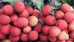 দিনাজপুরের লিচু: সারাদেশে স্বাদের অমর রাজা