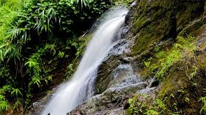 ঝর্ণা দেখতে গিয়ে অপহৃত তিনজন, একজন পালিয়ে এসেছেন