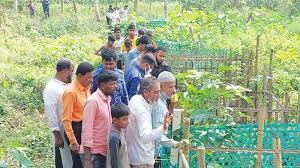 কবরস্থান থেকে ১৮ টি কঙ্কাল চুরি