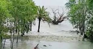 ঘূর্ণিঝড় রেমালের প্রভাবে ১০ ফুট পানির নিচে সুন্দরবন, বন্যপ্রাণীদের ক্ষতির আশঙ্কা