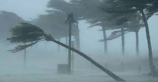 মঙ্গলবার কোথায় কখন বৃষ্টি, ঝড়ো হাওয়া বয়ে যাবে- বিস্তারিত আপডেট