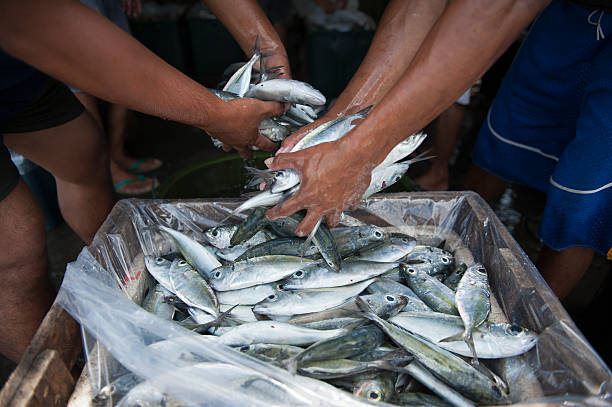 সঠিক প্রজননে মাছ ধরার উপর নিষেধাজ্ঞা