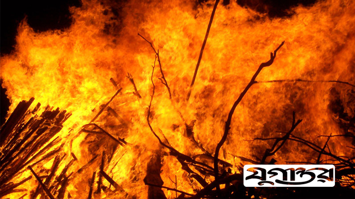 গোয়ালে থাকা ৪ গরু আগুনে পুড়ল দুই ঘরসহ