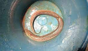 পায়ুপথে ঢুকে পড়া জীবন্ত কুঁচিয়া বের হলো