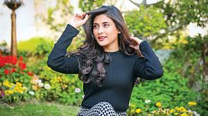 বিজয়ের উল্লাসের মাঝে অপরাধমূলক কর্মকাণ্ডের বিরুদ্ধে সোচ্চার মেহজাবীন