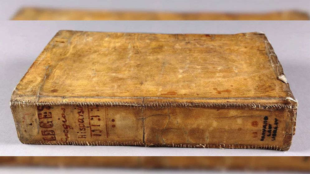 মানুষের চামড়ার তৈরি বইয়ের মলাট!