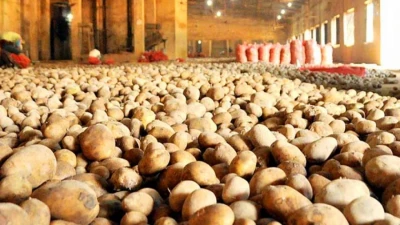 ২৬ থেকে ২৭ টাকা কেজি দরে আলু বিক্রির নির্দেশ