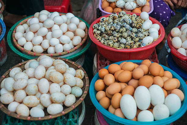 সময়ের প্রবাহে, বাজারে ডিমের মূল্য ঊর্ধ্বগতি